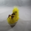 Picture of Small Duck in an Egg