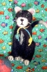 Maya the Kitty Needle Felting